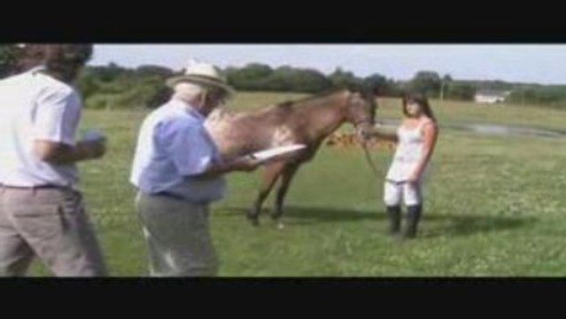 Labellisation cheval de loisir 09 à vigneux de bretagne