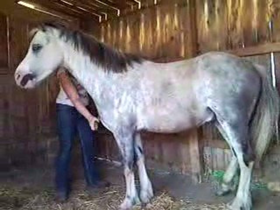 Pschitt anti-mouches pour Jamie Boy !