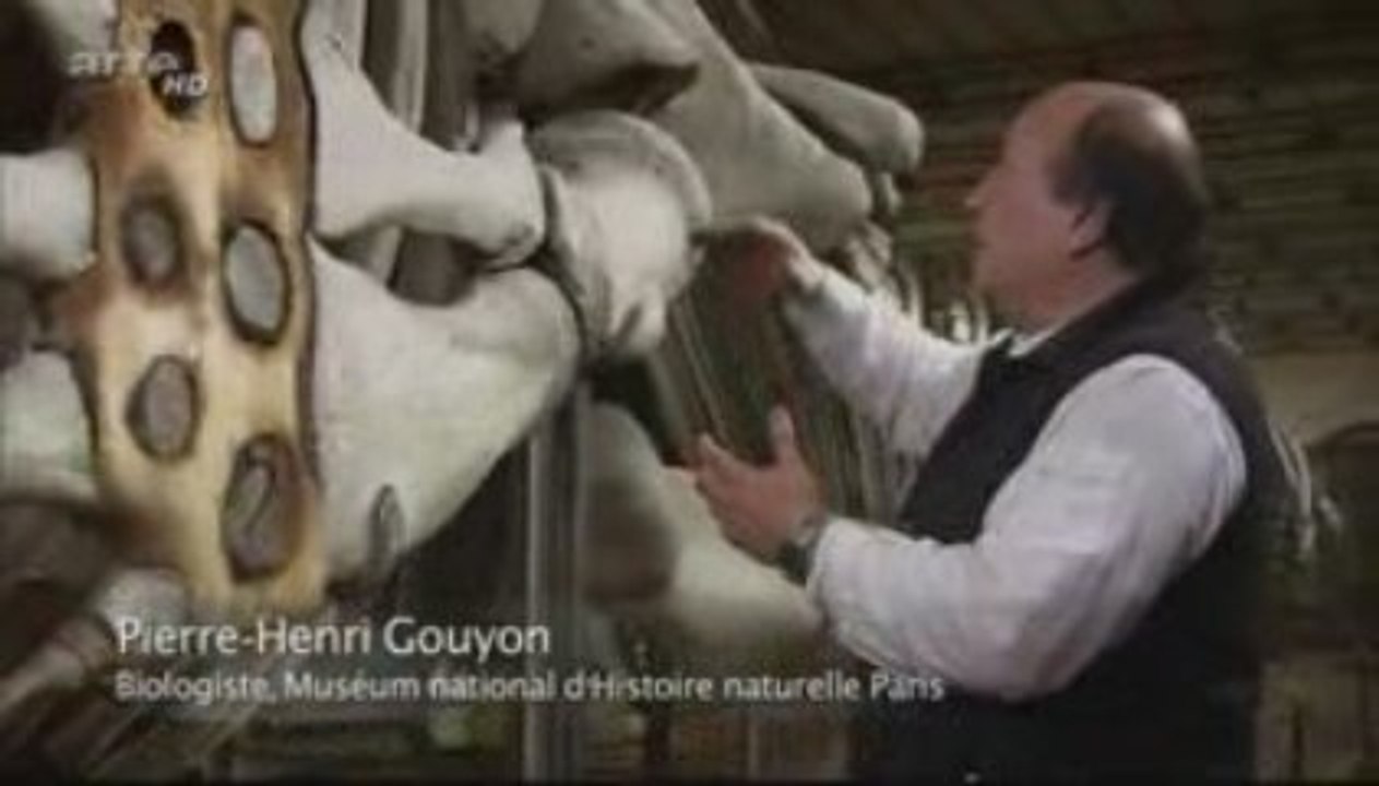 Charles Darwin -le G voyage- la theorie de l'évolution 2_5