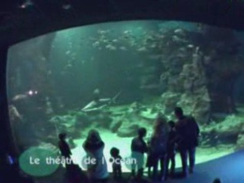 Visite Aquarium Mare Nostrum Montpellier