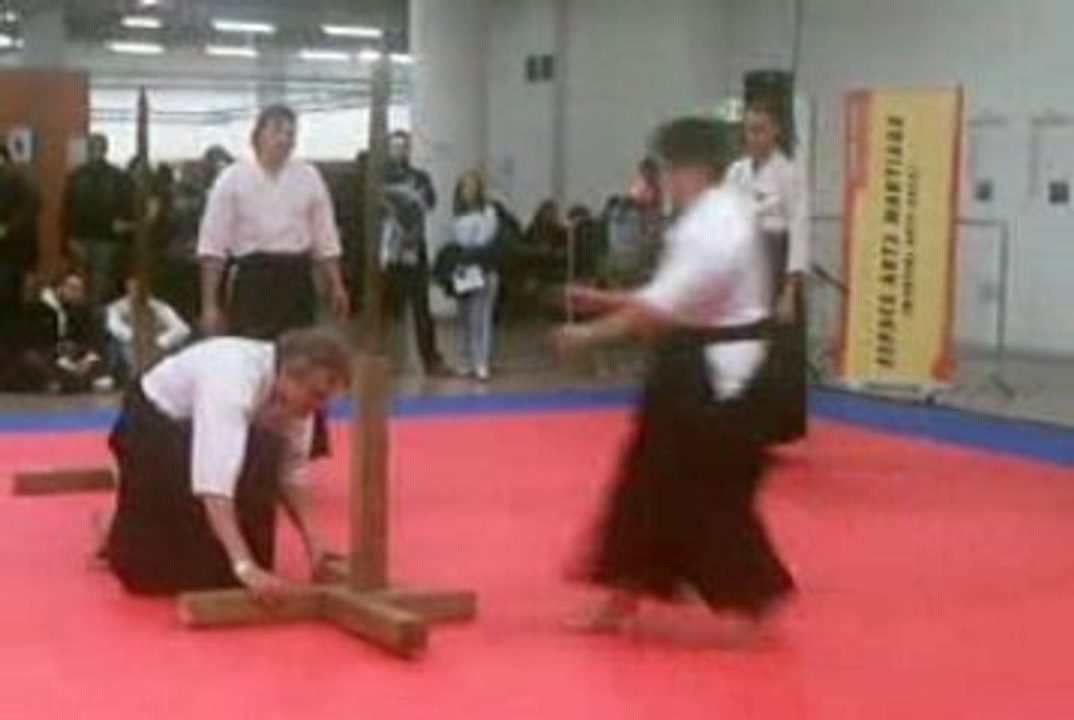 Démo d'art martiaux