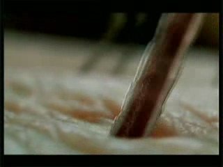 mosquitos dancing by admen FRed & FariD