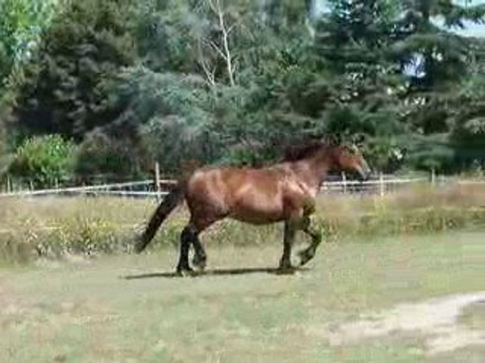 Louquick et Rusty 1er juillet 2009
