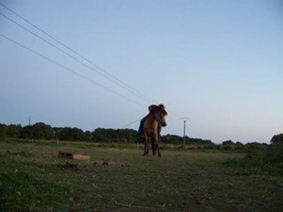 Séances au champ