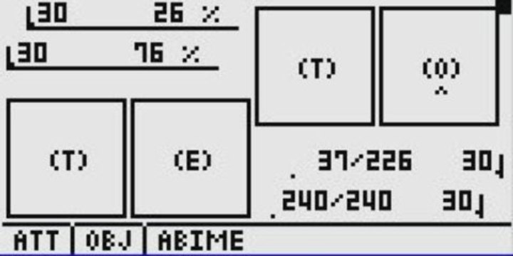 Démonstration de combat Projet Fight v6 (Casio)