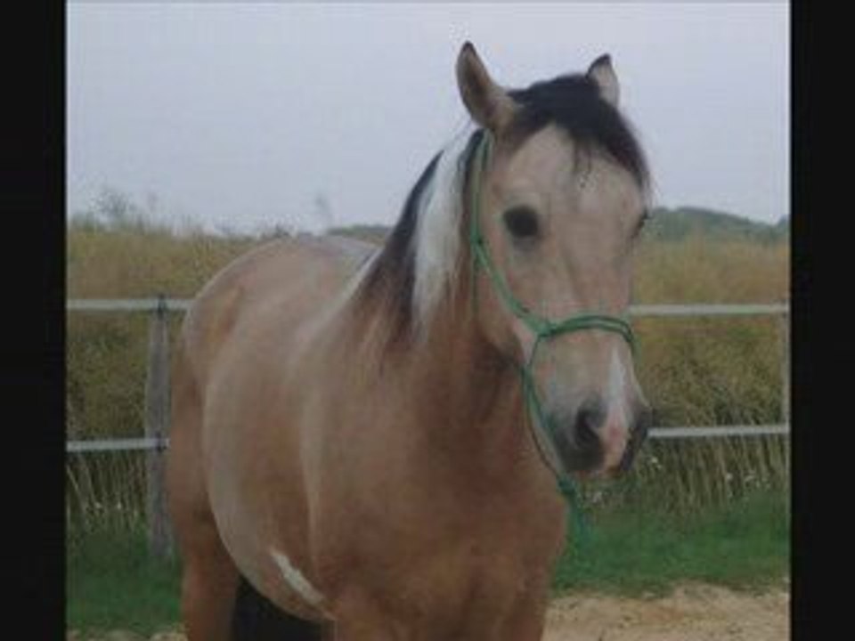 29 juin 2009