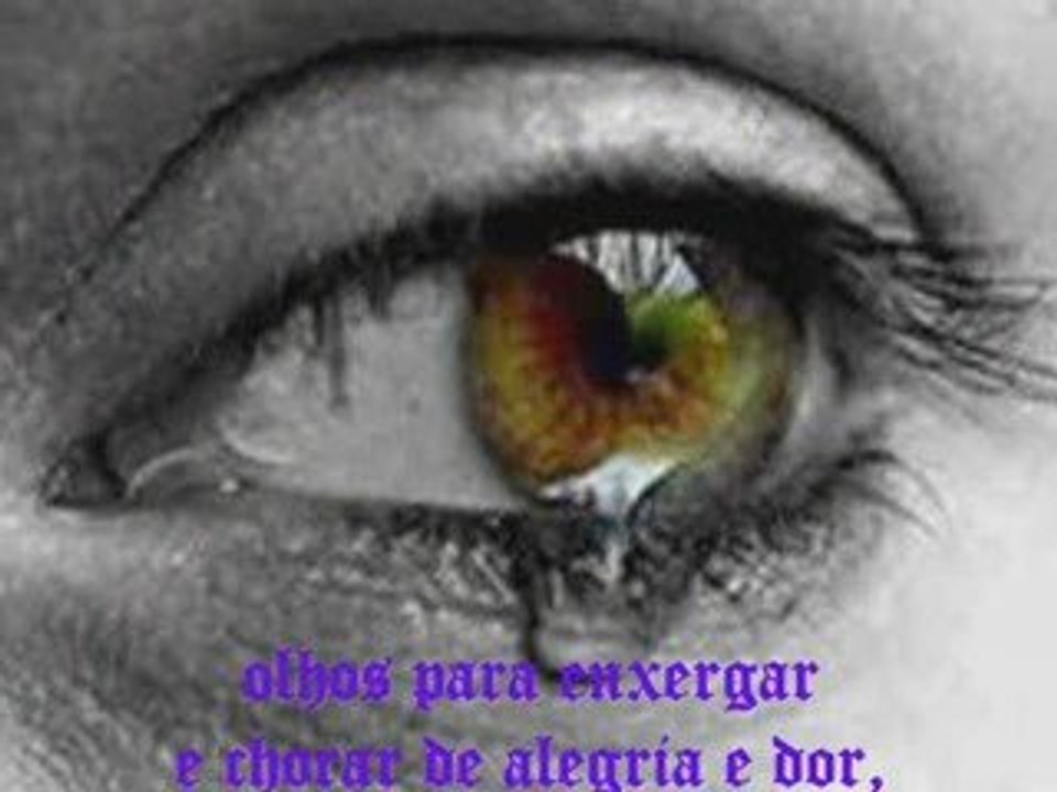 Amizade...