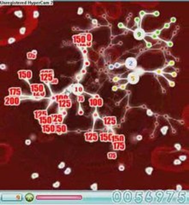 Kadokado synapse 76 000