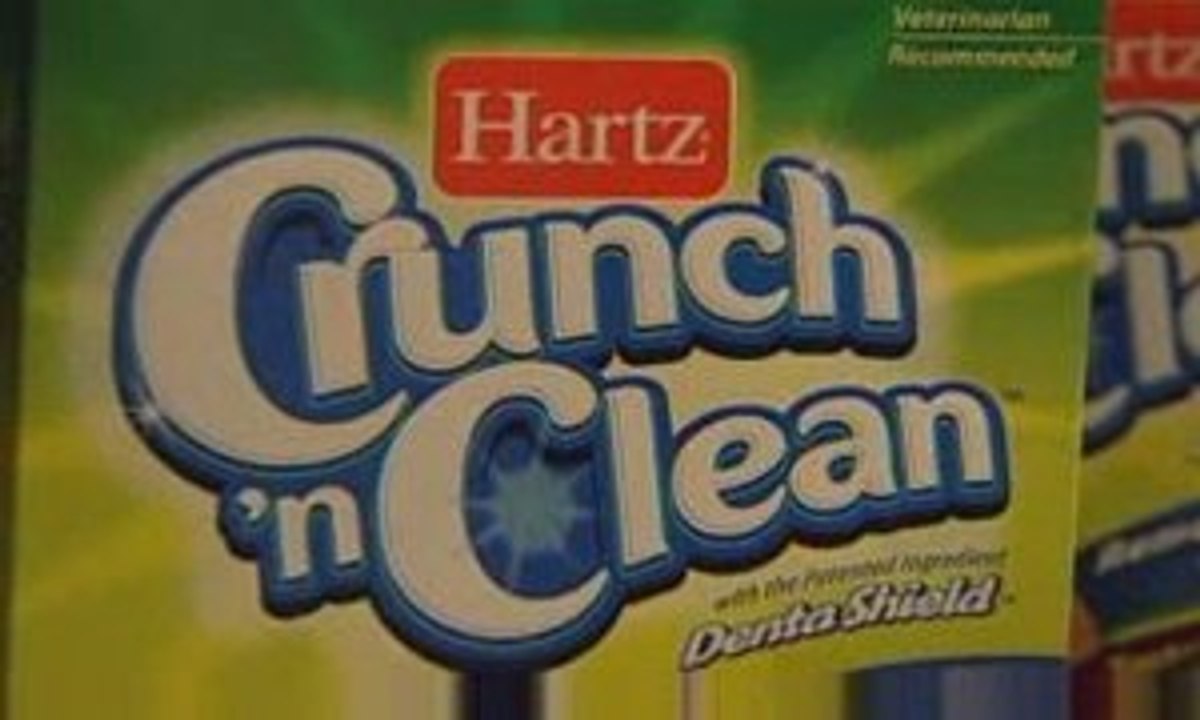 New tartar-busting treat for dogs
