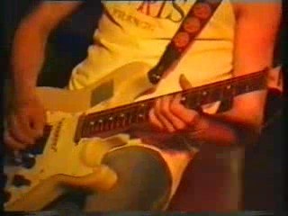 КОЛЫБЕЛЬ ДЛЯ КОШКИ - Лес