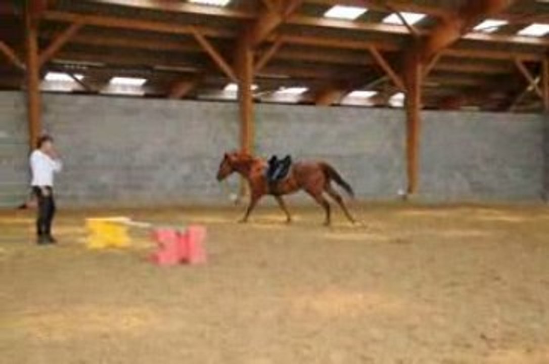 Peppermint- Saut en liberté^^...joli loupé !