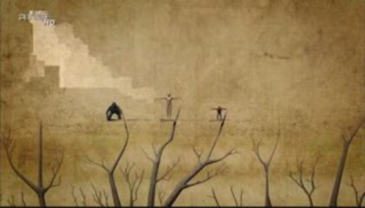 Charles Darwin - le G voyage - la theorie de l'évolution 3_5