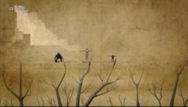 Charles Darwin - le G voyage - la theorie de l'évolution 3_5