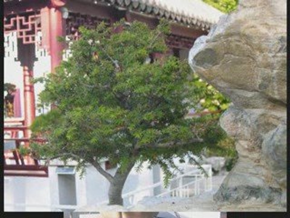 Magnifique jardin botanique de Montréal