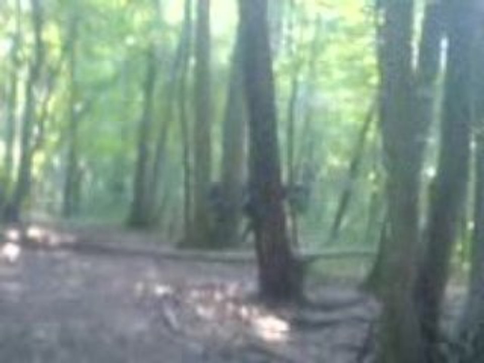 Mini cross ac pirate