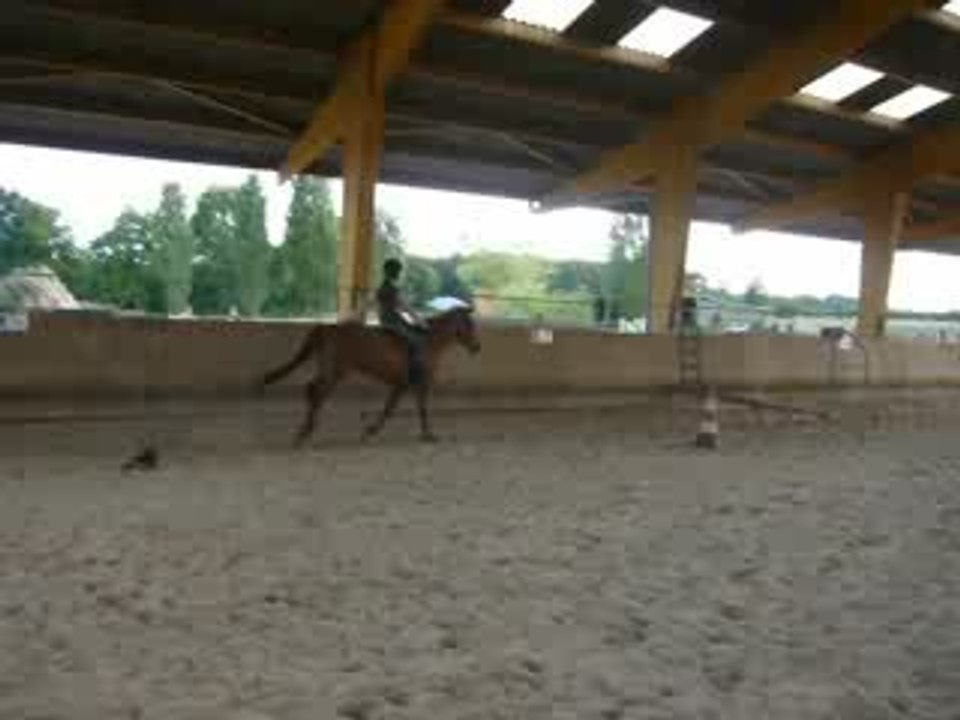 Wildy vertical à cru main droite