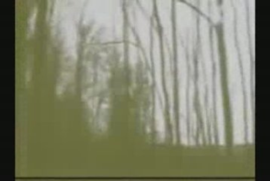 A SONG ON THE OLD RADIO (BY RITA CÉLIA DINI CARLBERG)