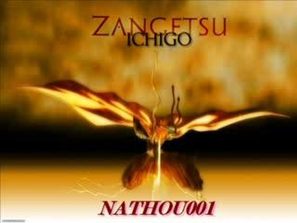 Kurosaki Ichigo vs Kuchuki Byakuya