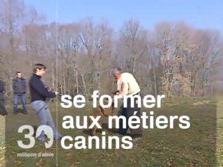 Les autres métiers du chien