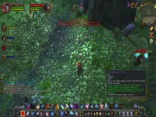 pvp rogue