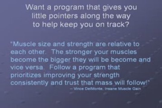 Muscle Gain & Strength – No Nonsense Muscle Building