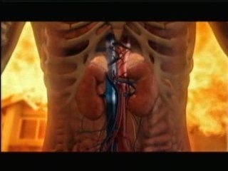 Estres: Respuesta de huida (ATP)