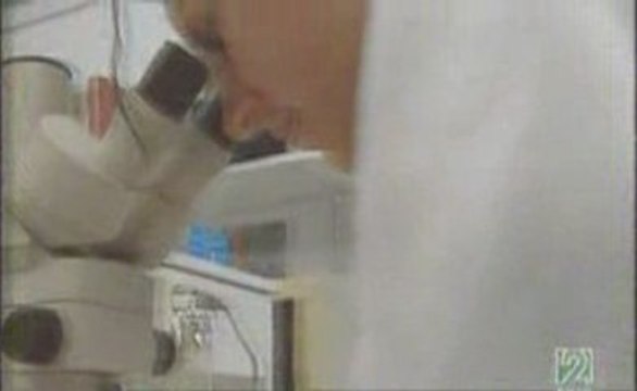 Evolucion: Seleccion natural de mutaciones geneticas