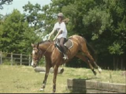 Meerlin & Moi Saut & Cross. xp