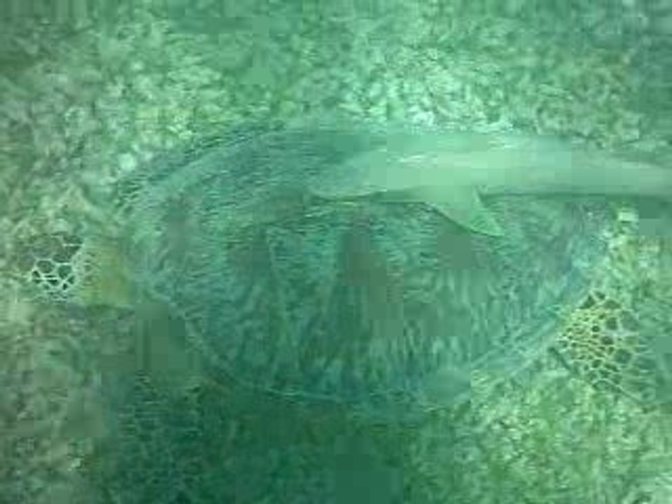 Video caisson soumarin "homemade"