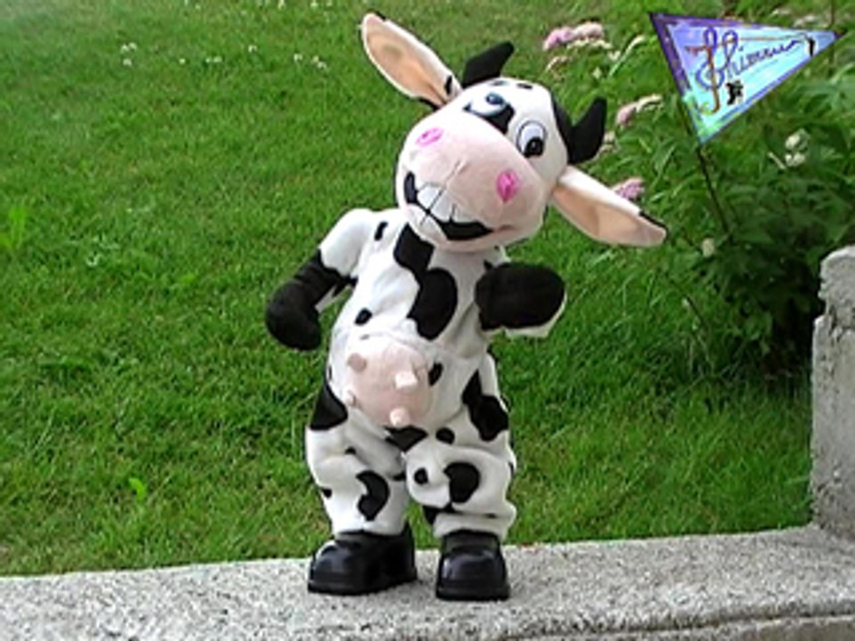 I like to move gags animaux