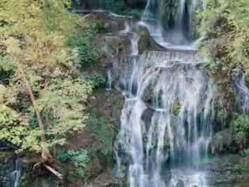 Sources et Cascades