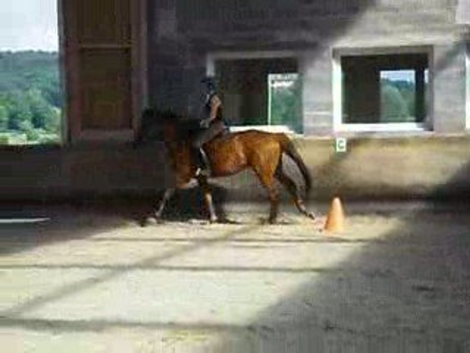 quartz galop a gauche