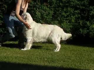 Divine Attitude des jardins d'épona