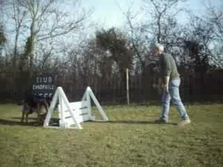 Saut d'obstacle ( Cosmot )