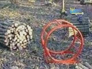 BOISSEC.FR, lauréat dans la catégorie “Business Plan”