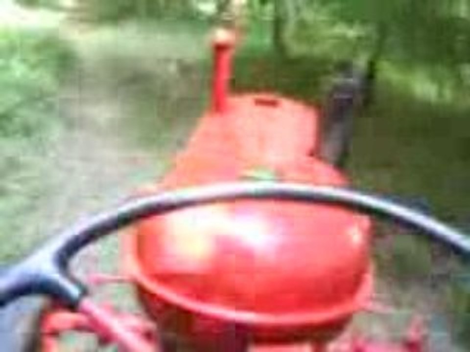 balade en foret