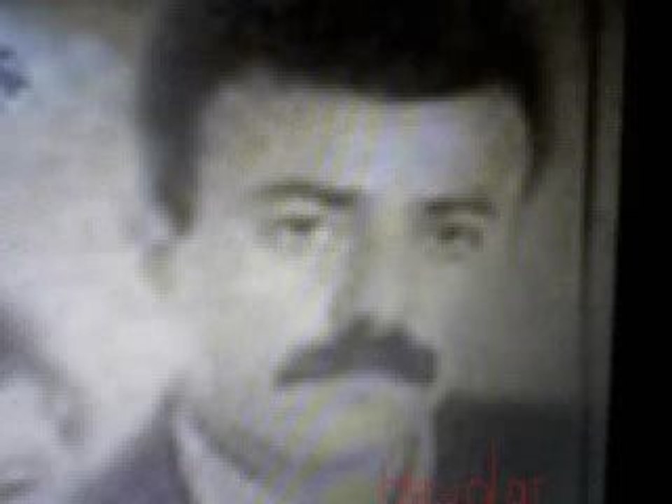 HAYDAR ŞANLI