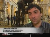 Lyon : Un Dinosaure au Palais de la Bourse