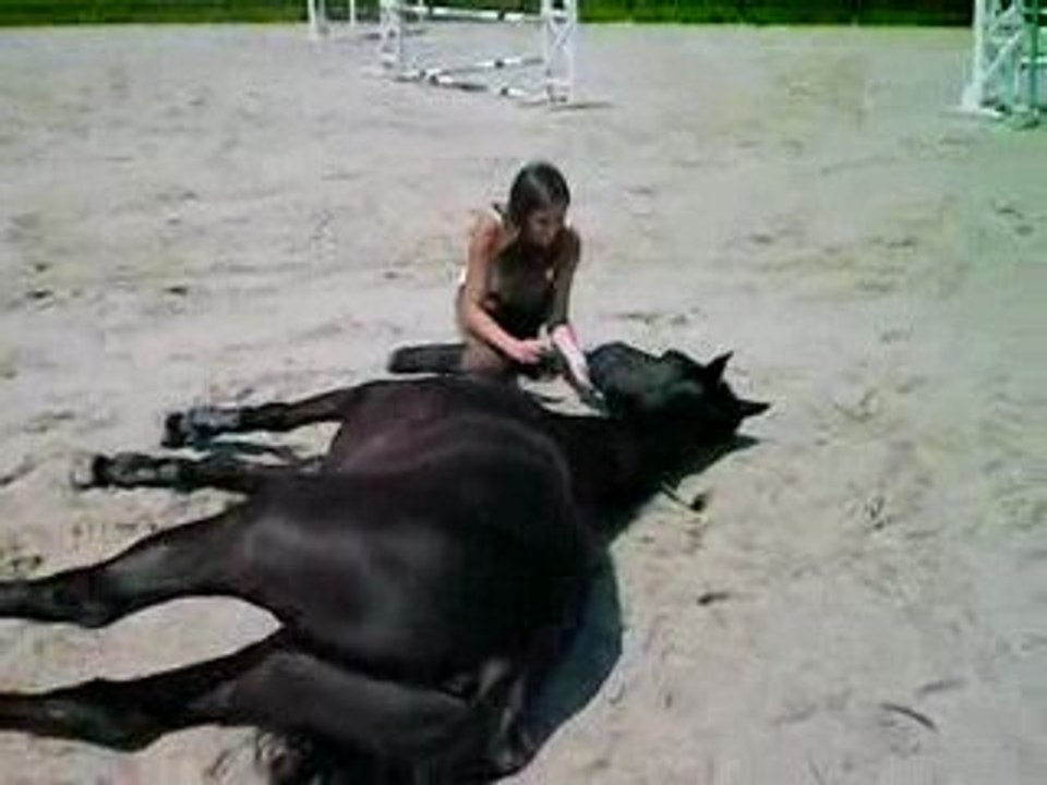 Couché sur la grande carrière