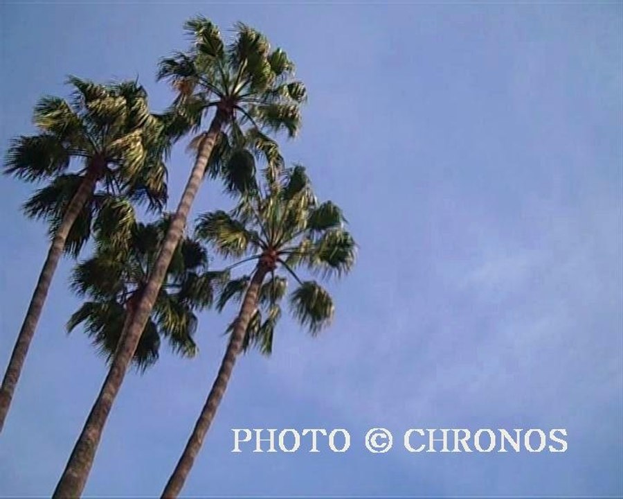 la  Californie
