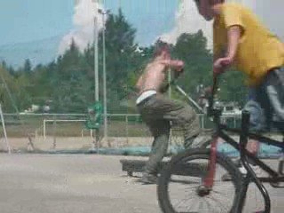 présentation skatepark
