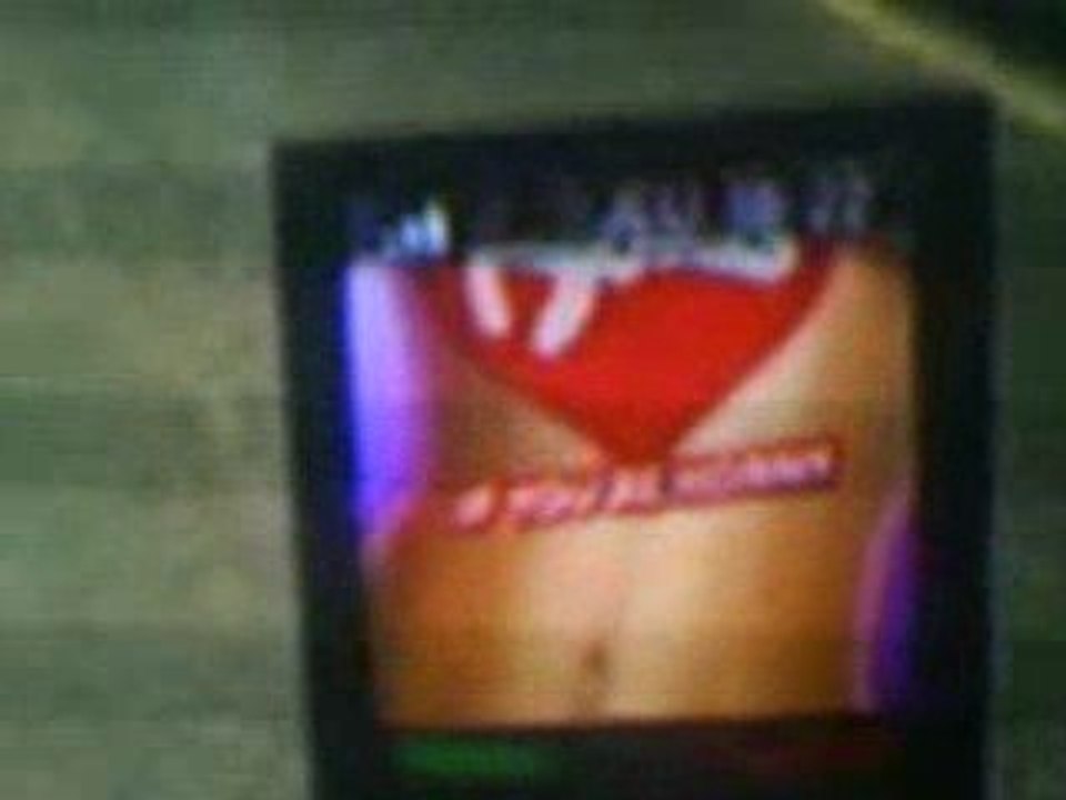 gta4 bug invisible niko bellic