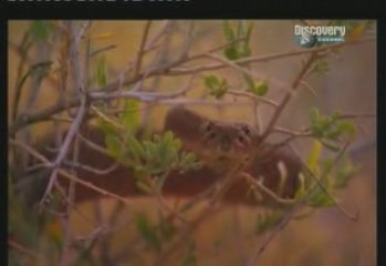 Seul face à la nature désert Moab d'Uta.3