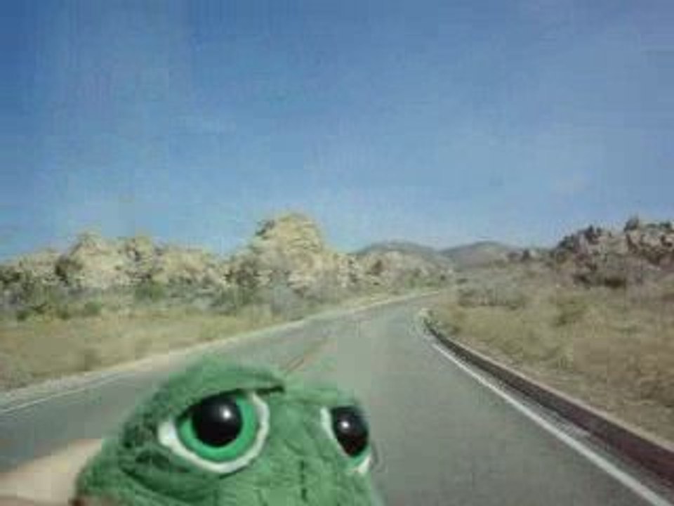 brOOky à Joshua Tree
