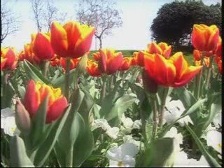 kıyamet -kuran -ayetleri--sure