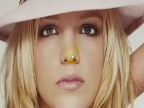 The FREE Bear Marketing System 9 multiple-streams-of-income