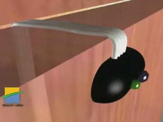 FLASH INFO JUIN 2009