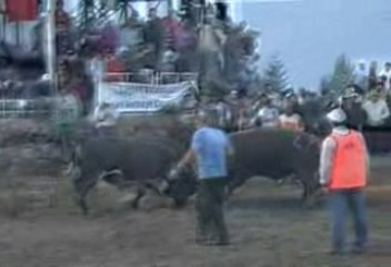 2009 Kafkasör Kültür ve Sanat Festivali-9