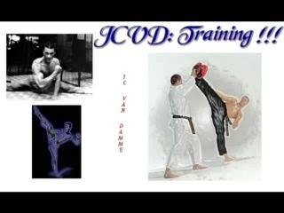 9eme Montage JCVD Training by Mainecoon