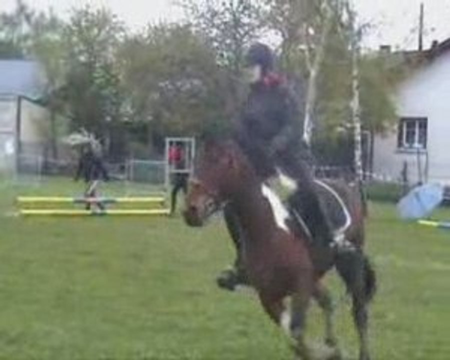 Résumé de ma première année de concours à poney